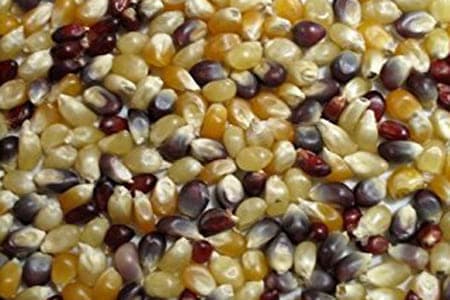 Magic Pop — 3 lb Bag Unpopped Kernels